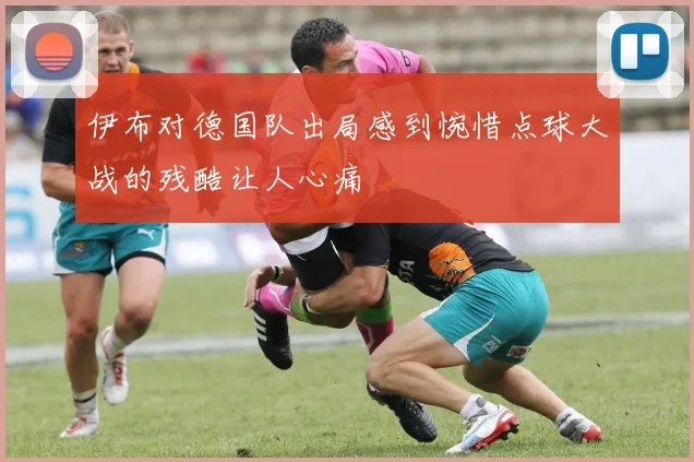 伊布对德国队出局感到惋惜点球大战的残酷让人心痛