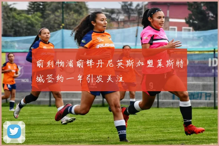 前利物浦前锋丹尼英斯加盟莱斯特城签约一年引发关注